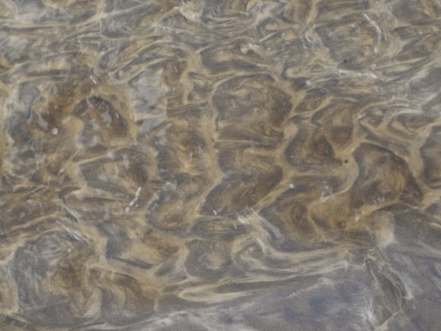 Sunlit ripples moving across shallow water